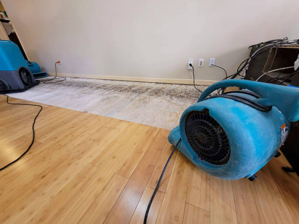 Professional Water Damage Repair technician working in Los Gatos, CA